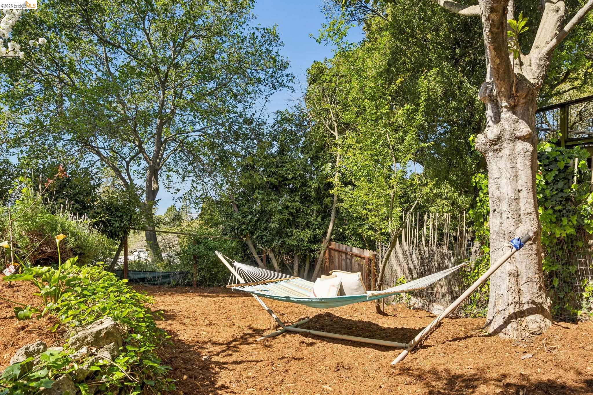 2924 Shasta Road Berkeley, CA 94708 - Photo 36 of 38