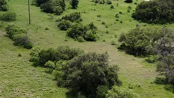 a view of a lush green forest with lots of trees