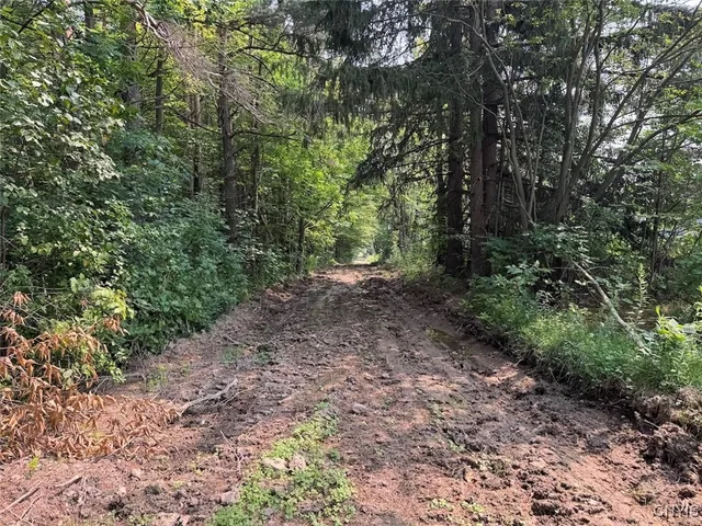 $289,900 | Allen Road, East Concord, NY 14055