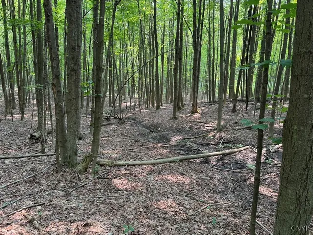 $289,900 | Allen Road, East Concord, NY 14055