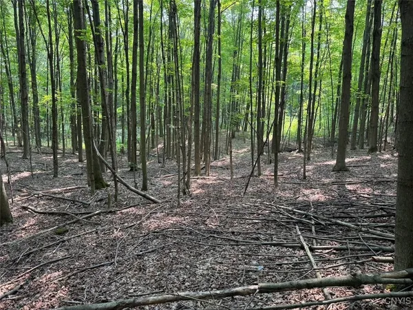 $264,900 | Allen Road, East Concord, NY 14055