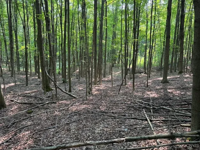 $289,900 | Allen Road, East Concord, NY 14055