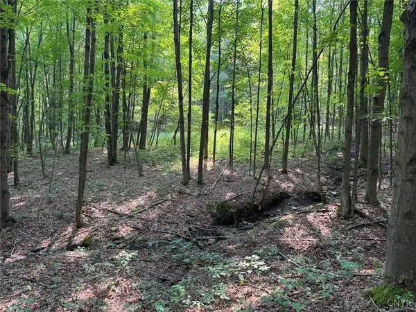 $264,900 | Allen Road, East Concord, NY 14055