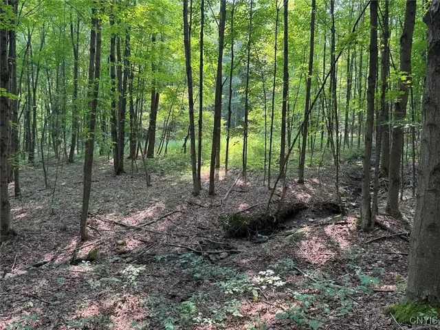 $289,900 | Allen Road, East Concord, NY 14055