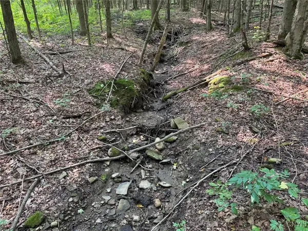 $264,900 | Allen Road, East Concord, NY 14055