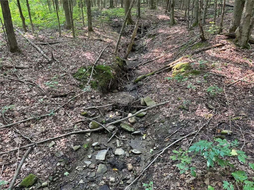 Allen Road East Concord, NY 14055 - Photo 14 of 34