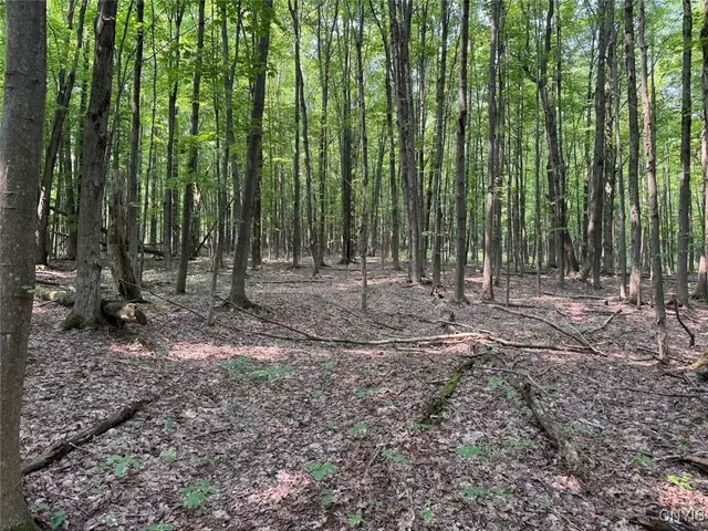 $289,900 | Allen Road, East Concord, NY 14055