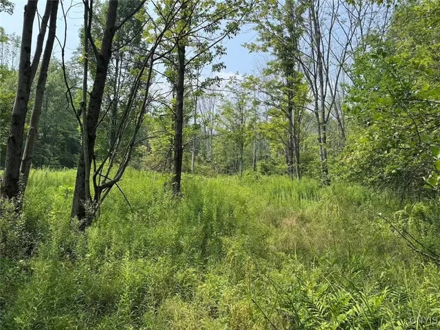 $289,900 | Allen Road, East Concord, NY 14055