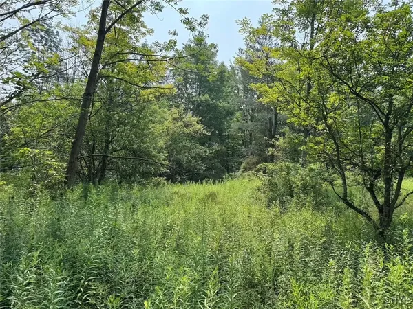 $264,900 | Allen Road, East Concord, NY 14055