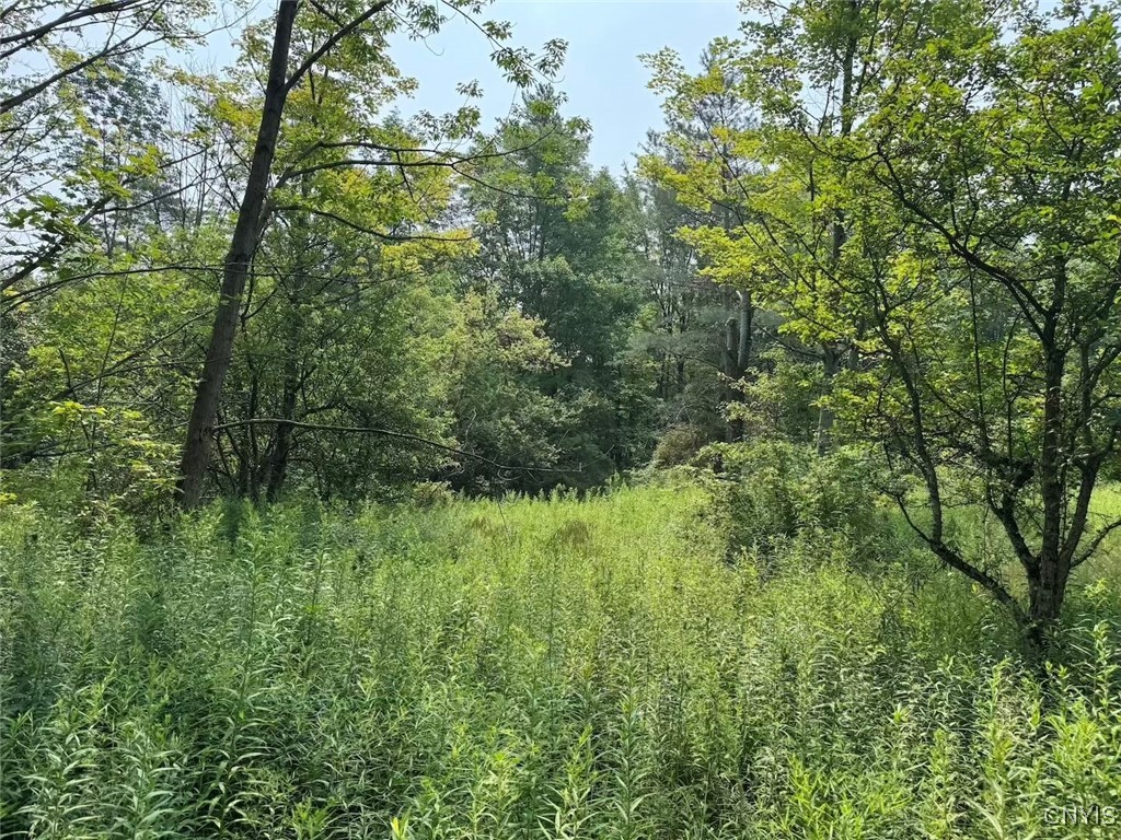 Allen Road East Concord, NY 14055 - Photo 17 of 34