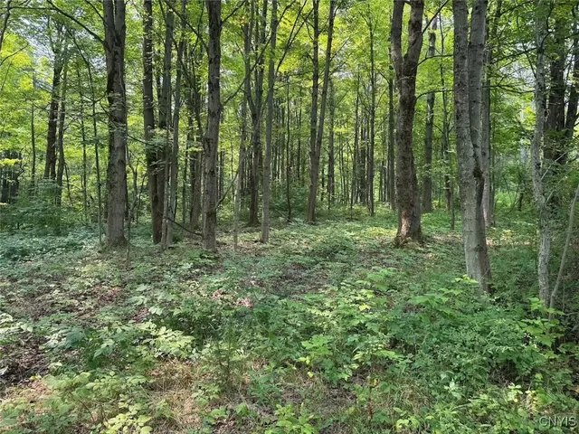 $289,900 | Allen Road, East Concord, NY 14055