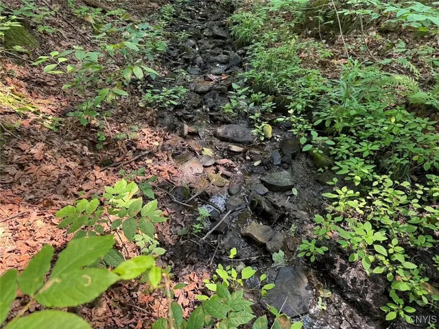 $289,900 | Allen Road, East Concord, NY 14055