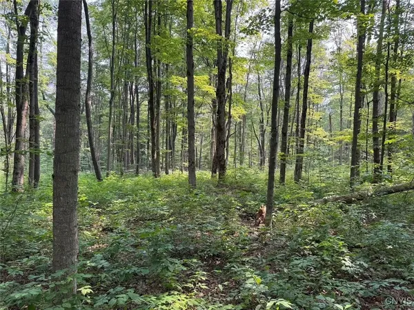 $264,900 | Allen Road, East Concord, NY 14055