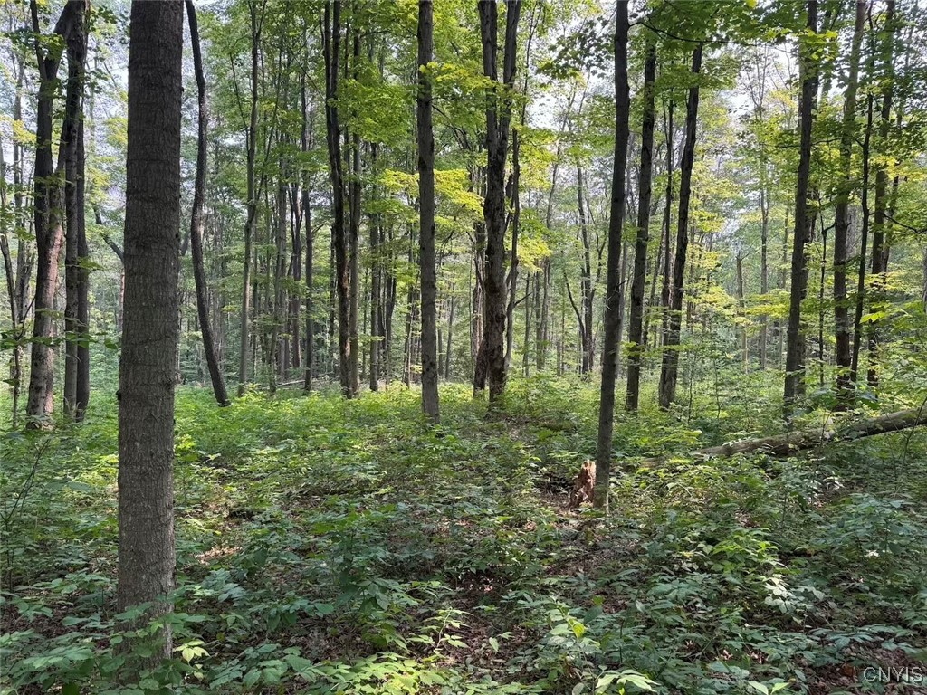 Allen Road East Concord, NY 14055 - Photo 21 of 34