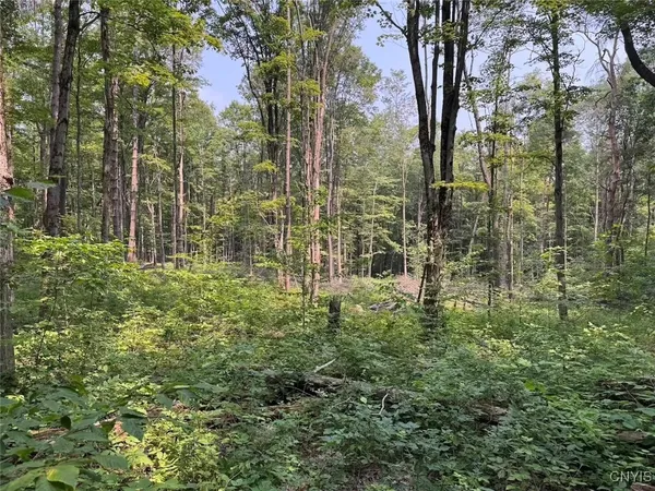 $264,900 | Allen Road, East Concord, NY 14055