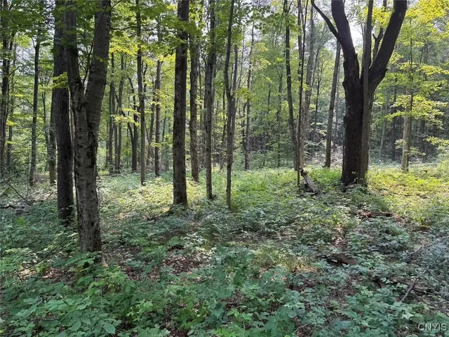 $289,900 | Allen Road, East Concord, NY 14055