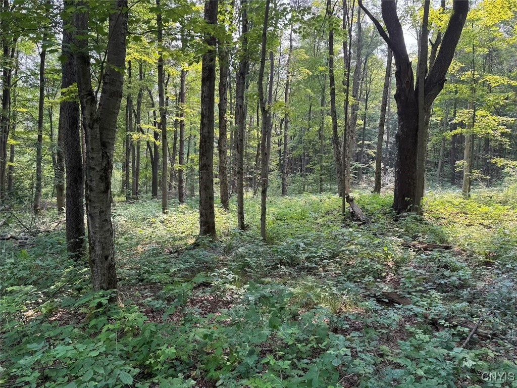 Allen Road East Concord, NY 14055 - Photo 23 of 34