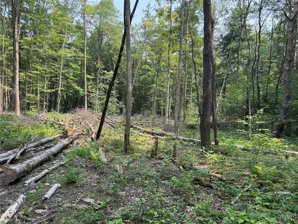 Allen Road East Concord, NY 14055 - Photo 25 of 34