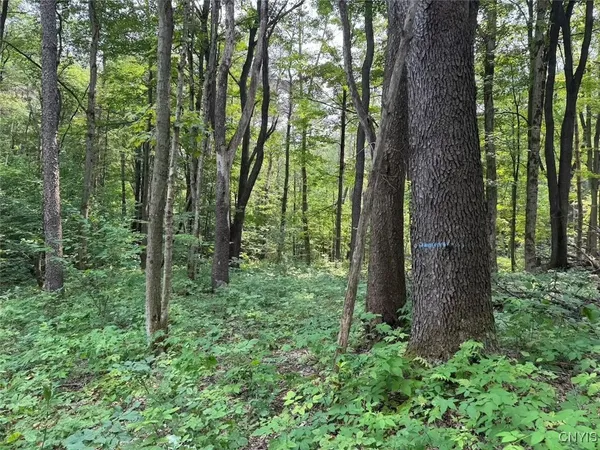 $264,900 | Allen Road, East Concord, NY 14055