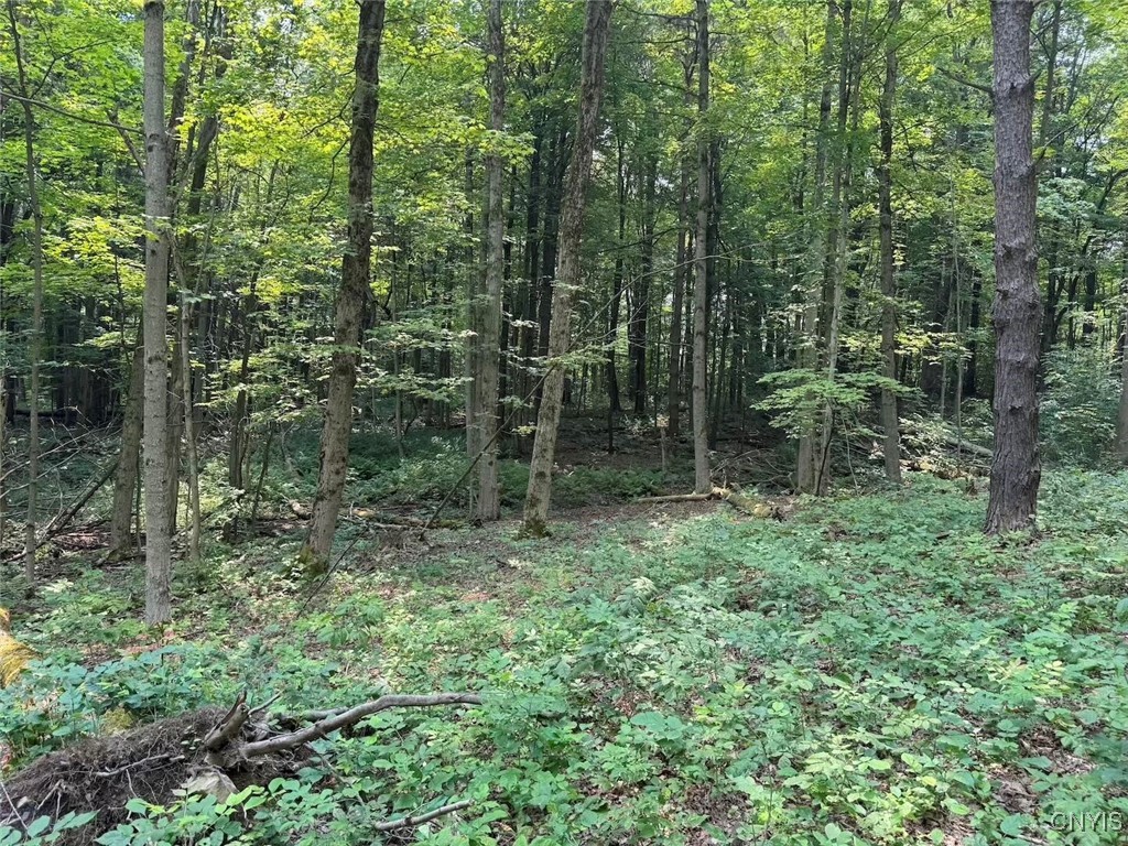 Allen Road East Concord, NY 14055 - Photo 27 of 34