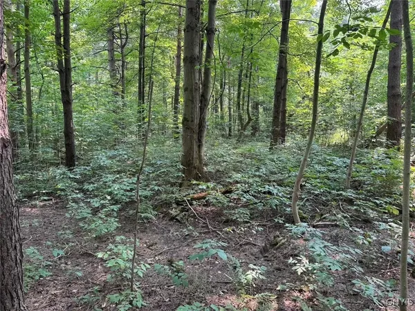 $264,900 | Allen Road, East Concord, NY 14055