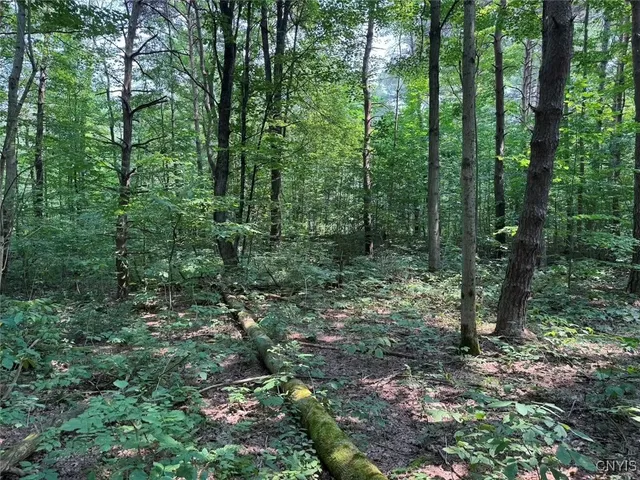 $289,900 | Allen Road, East Concord, NY 14055