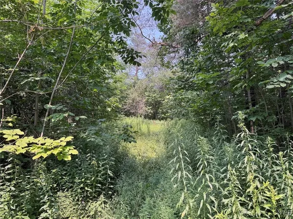 $264,900 | Allen Road, East Concord, NY 14055