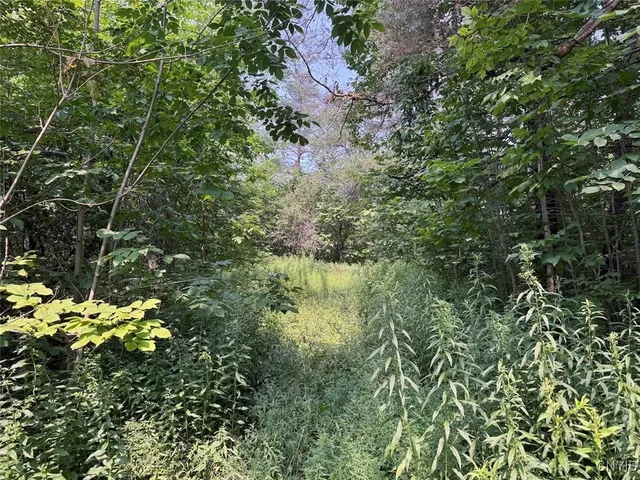 $289,900 | Allen Road, East Concord, NY 14055