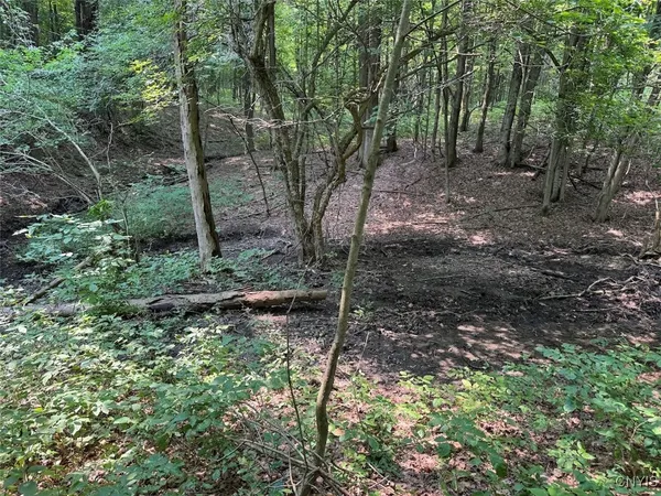 $264,900 | Allen Road, East Concord, NY 14055