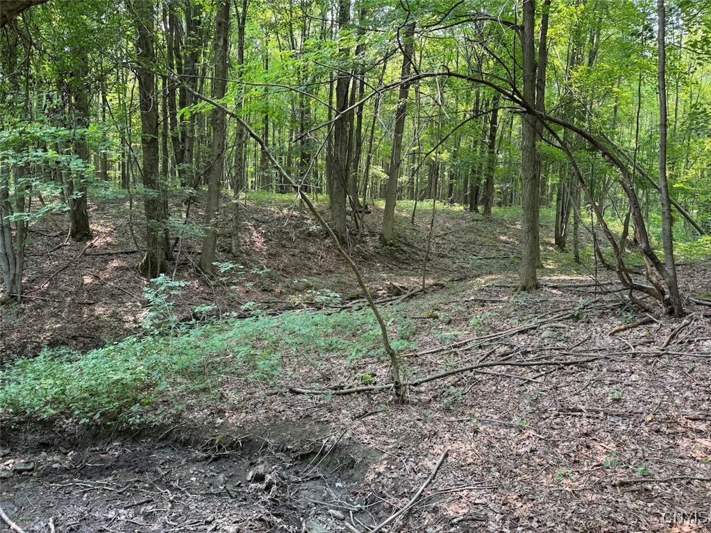 Allen Road East Concord, NY 14055 - Photo 6 of 34