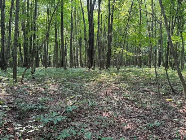 $264,900 | Allen Road, East Concord, NY 14055