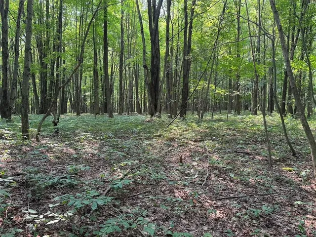 $289,900 | Allen Road, East Concord, NY 14055