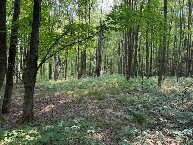 $289,900 | Allen Road, East Concord, NY 14055