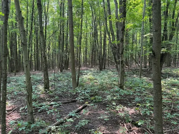 $264,900 | Allen Road, East Concord, NY 14055