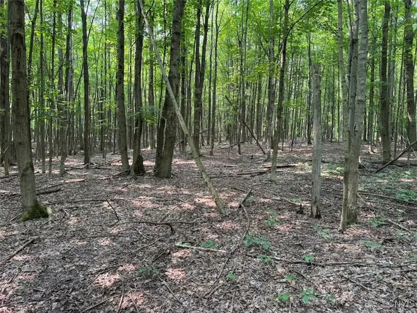 $264,900 | Allen Road, East Concord, NY 14055