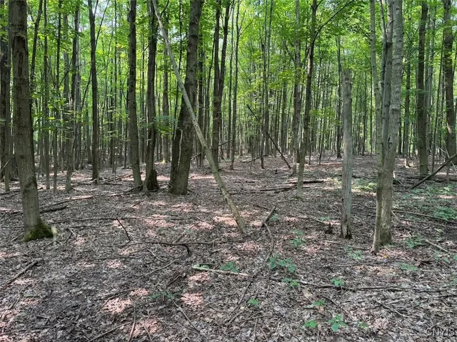 $289,900 | Allen Road, East Concord, NY 14055