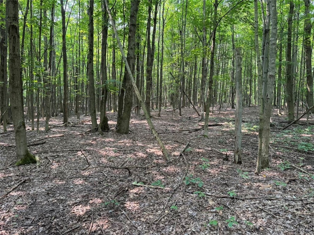 Allen Road East Concord, NY 14055 - Photo 10 of 34