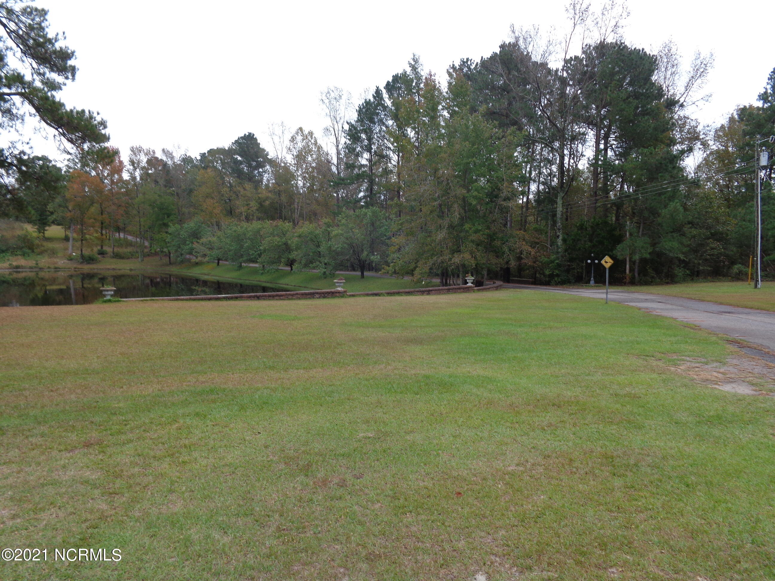 158 Murray Manor Lane Rockingham, NC 28379 - Photo 19 of 45 Beautiful open land