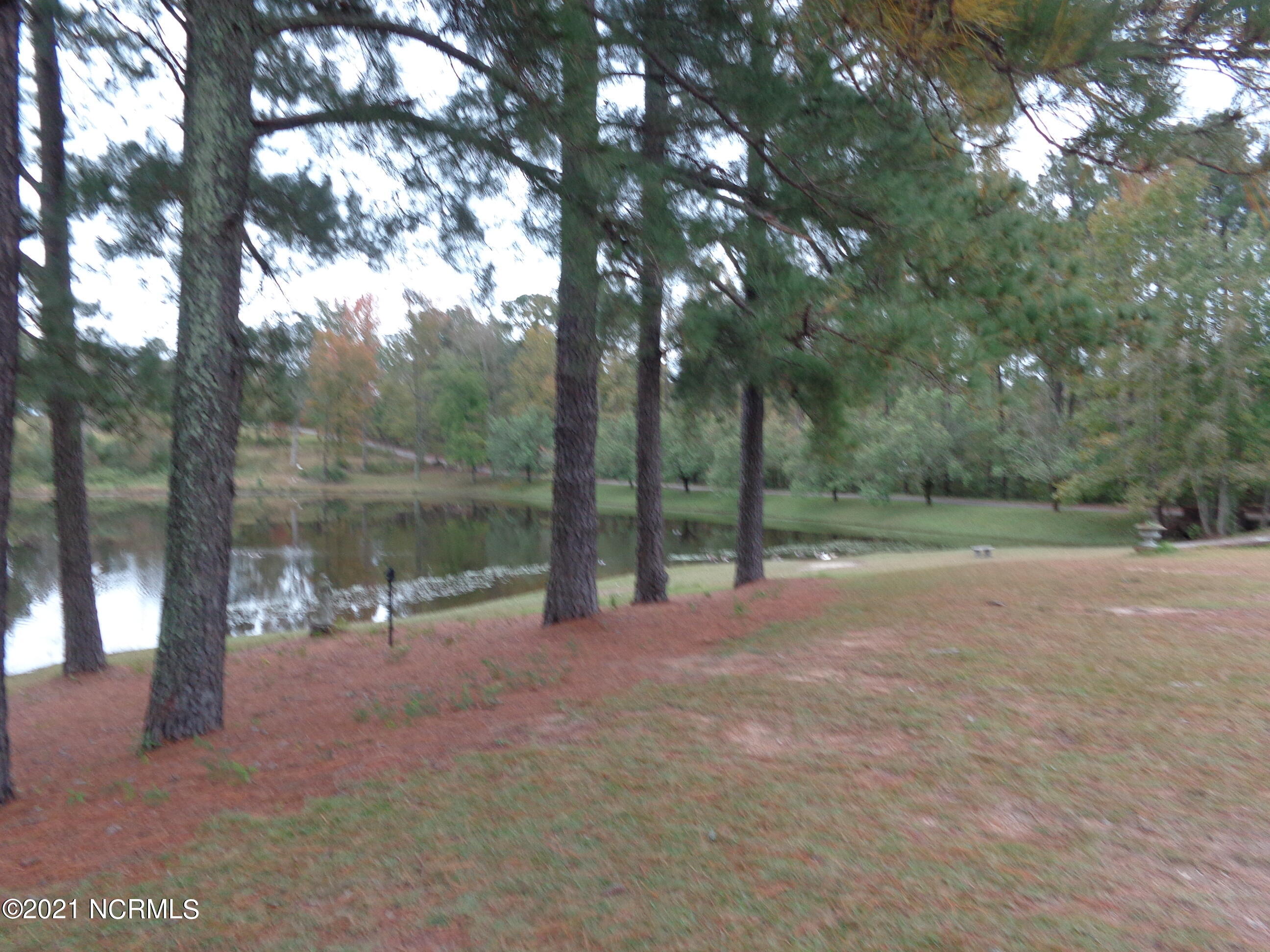 158 Murray Manor Lane Rockingham, NC 28379 - Photo 24 of 45 DSC03436