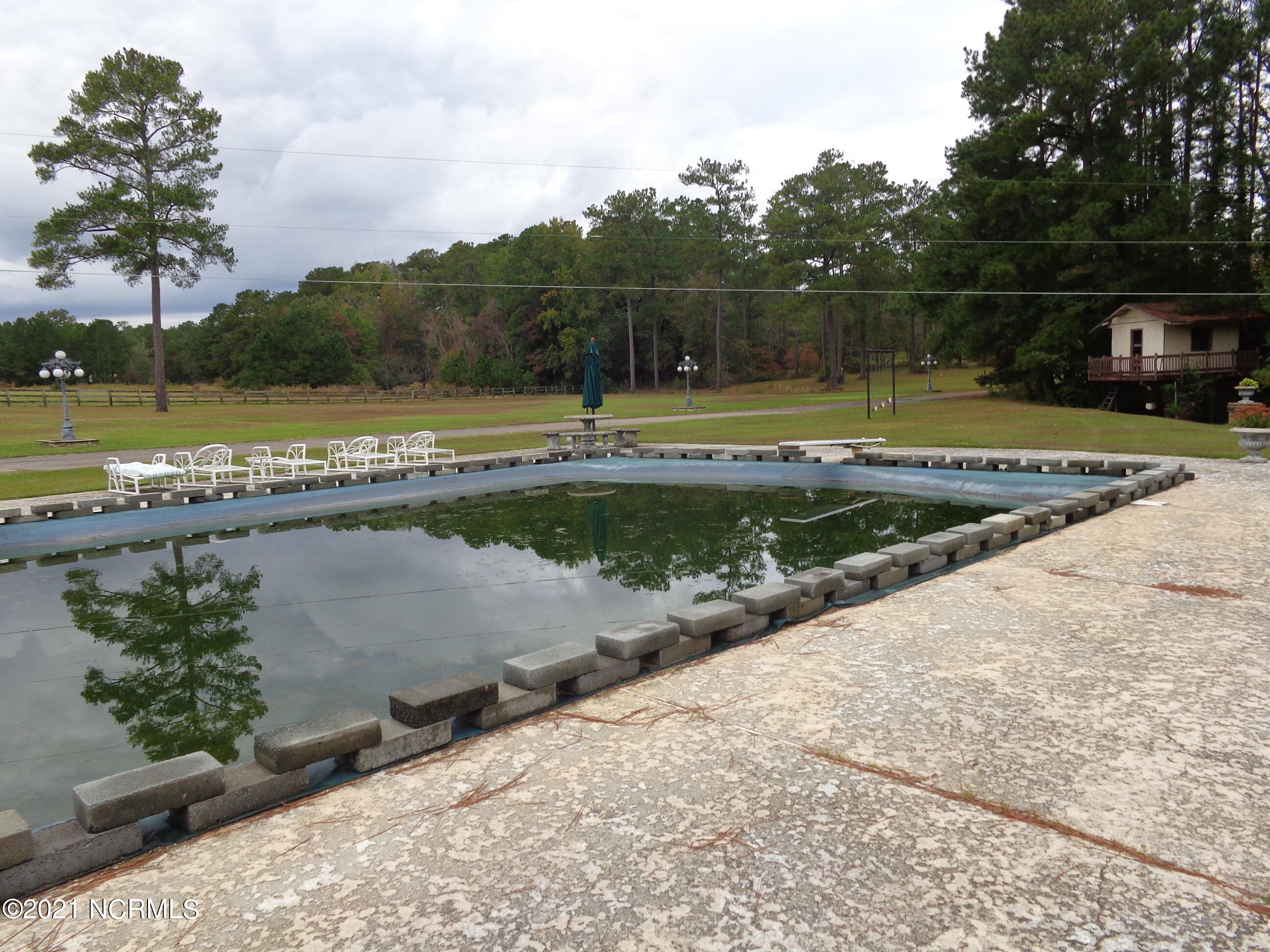 158 Murray Manor Lane Rockingham, NC 28379 - Photo 27 of 45 Pool