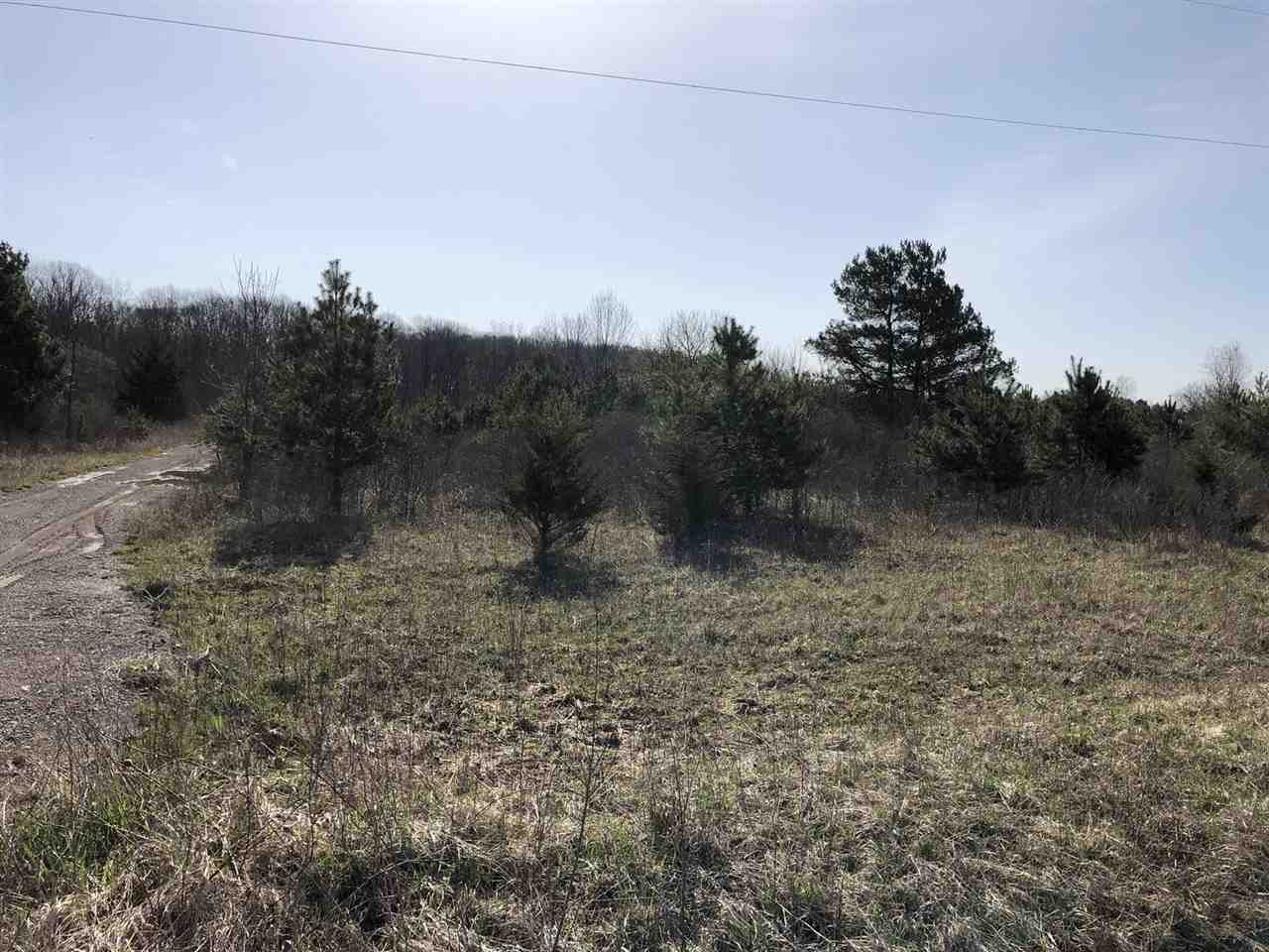 Vl North Lewis Road Clio, MI 48420 - Photo 1 of 3