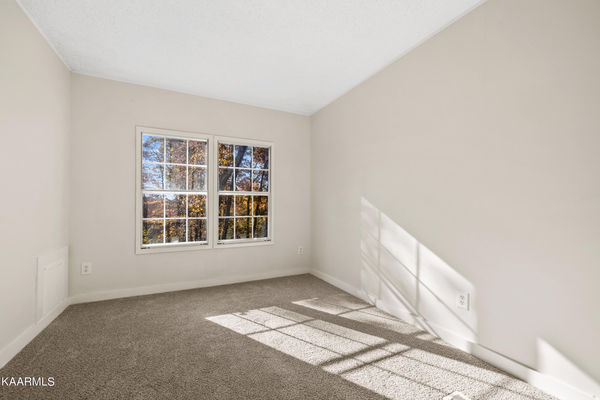 188 Overlook Trail Spring City, TN 37381 - Photo 18 of 32 Gallery Image 18