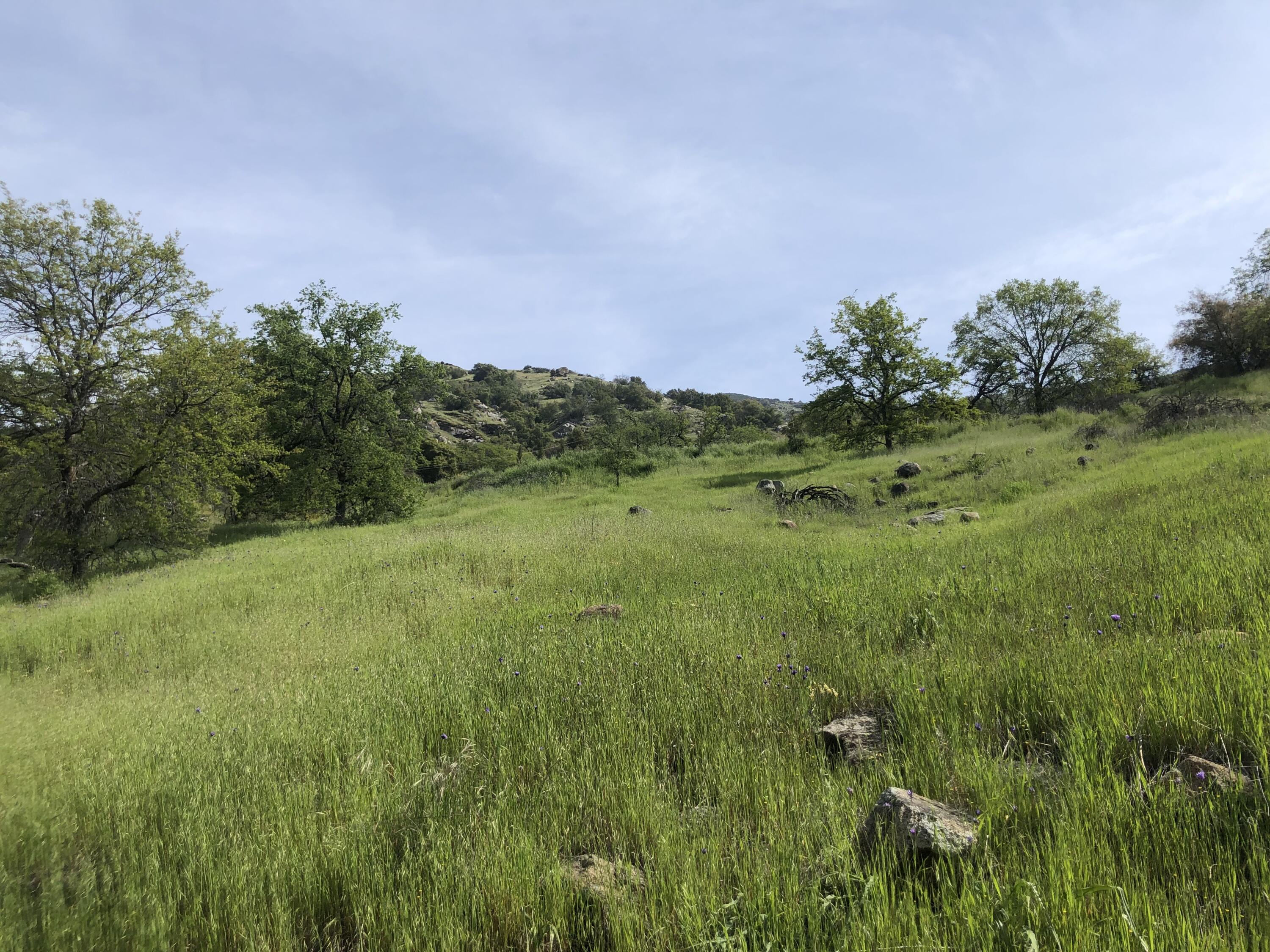 0 North Kaweah River Drive Three Rivers, CA 93271 - Photo 27 of 78 IMG_7904