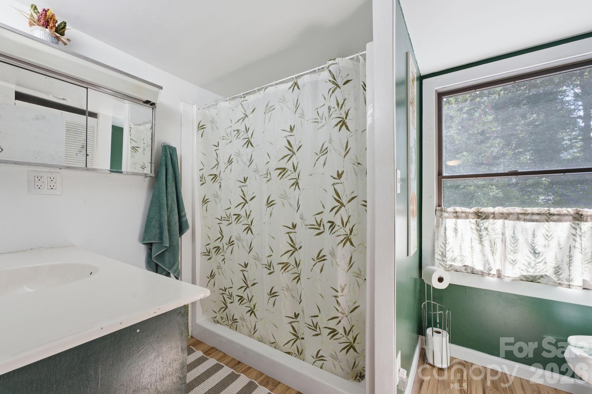 583 Dark Ridge Road Sylva, NC 28779 - Photo 37 of 48 a bathroom with a shower curtain and a large window