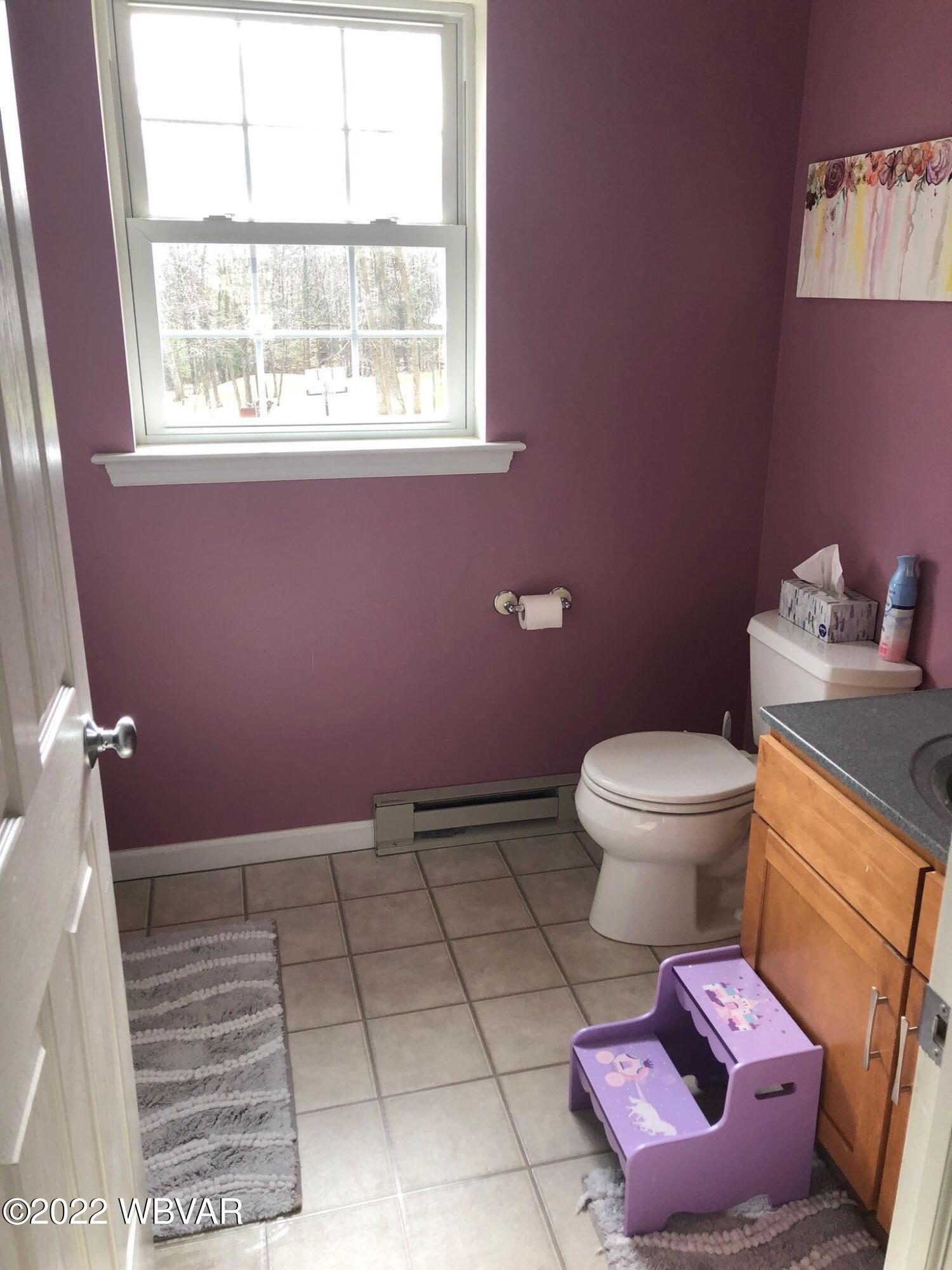 203 Green Pine Road Montgomery, PA 17752 - Photo 47 of 59 Gallery Image 47