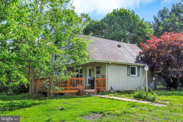 a backyard of a house with potted plants and large tree