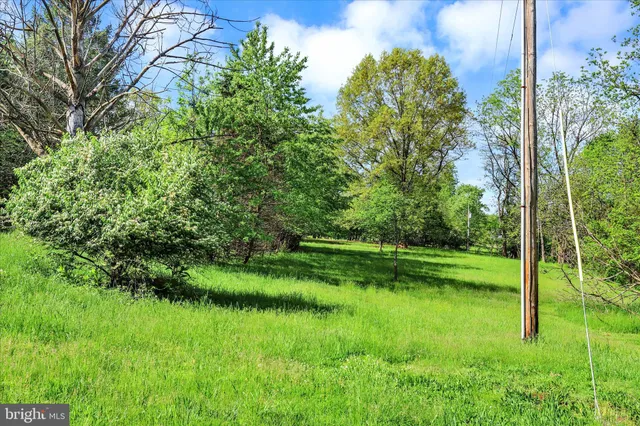 a view of a garden with a tree