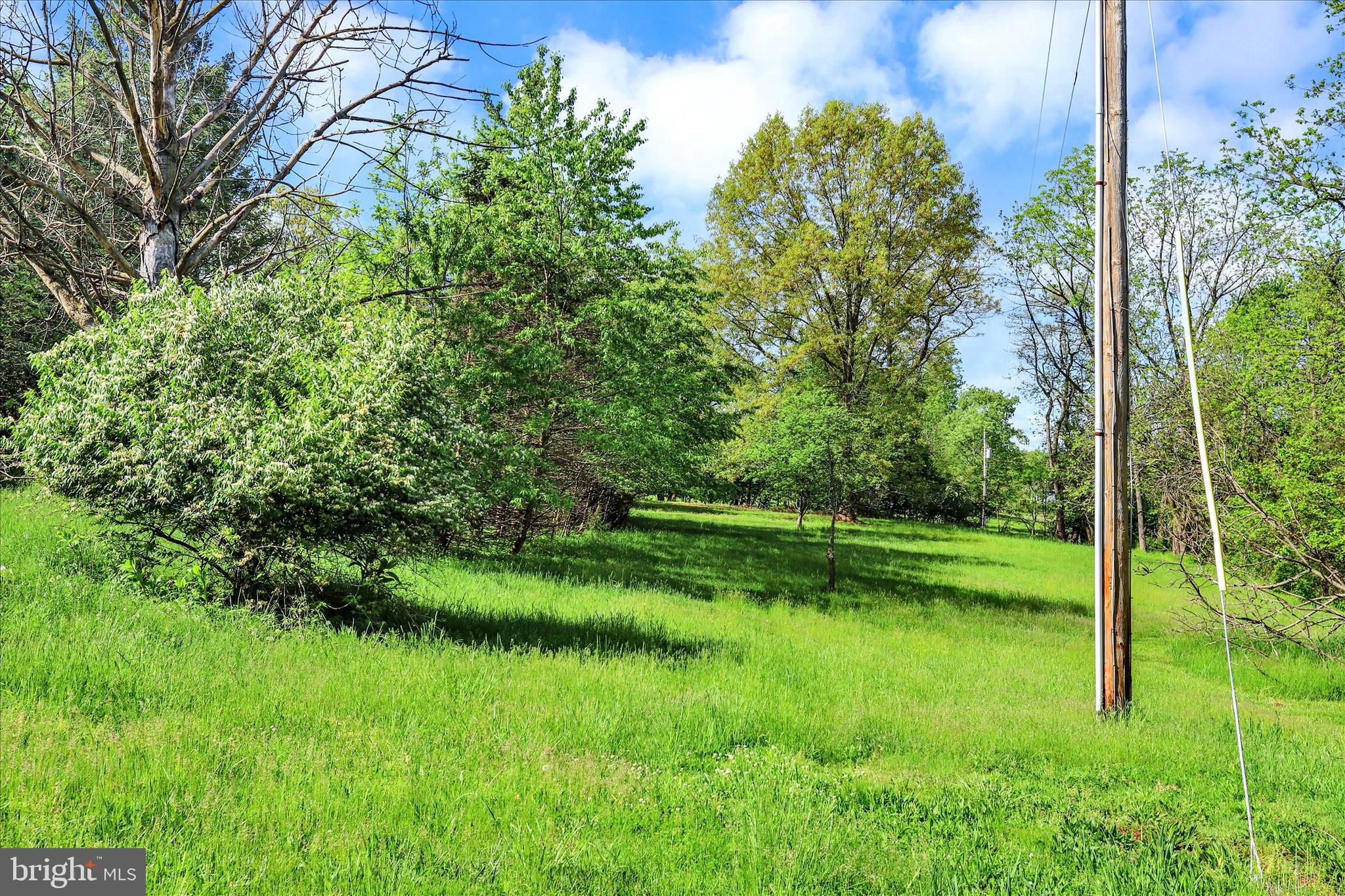 620 St Johns Road Littlestown, PA 17340 - Photo 20 of 25 a view of a garden with a tree
