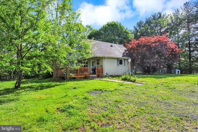 a backyard of a house with plants and large tree