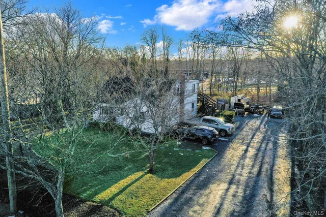 a view of a park with large trees